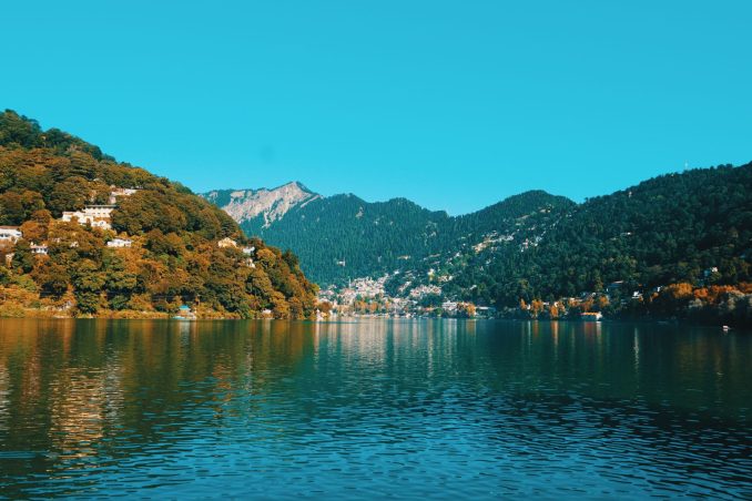 Untitled design - 2025-07-31T091446.008